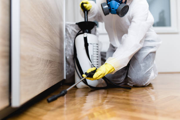 Best Mosquito Control Services  in Hargill, TX
