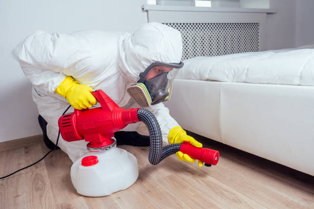 Best Flea Control Services  in Hargill, TX