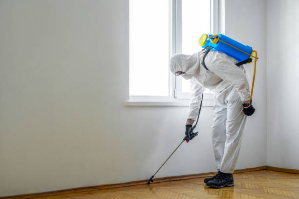 Best Pest Control Near Me in Hargill, TX