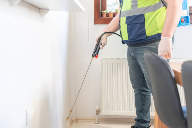 Best Best Pest Control Near Me  in Hargill, TX