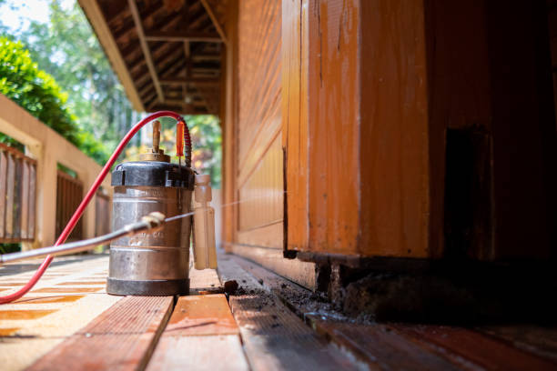 Best Cockroach Control Services  in Hargill, TX