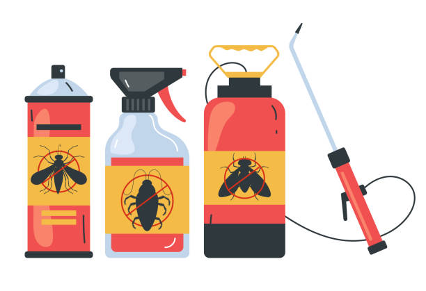 Best Termite Control Services  in Hargill, TX