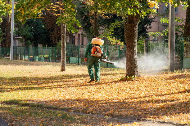 Insect Control in Hargill, TX
