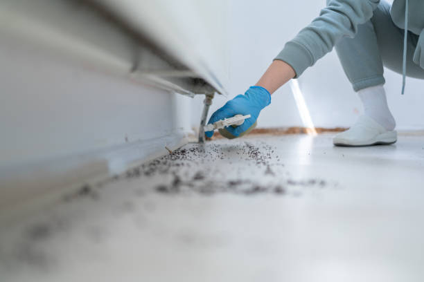 Best Pest Prevention Services  in Hargill, TX