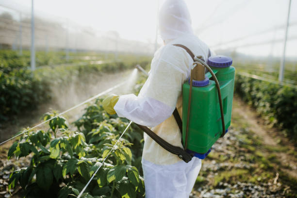 Hargill, TX Pest Control Company